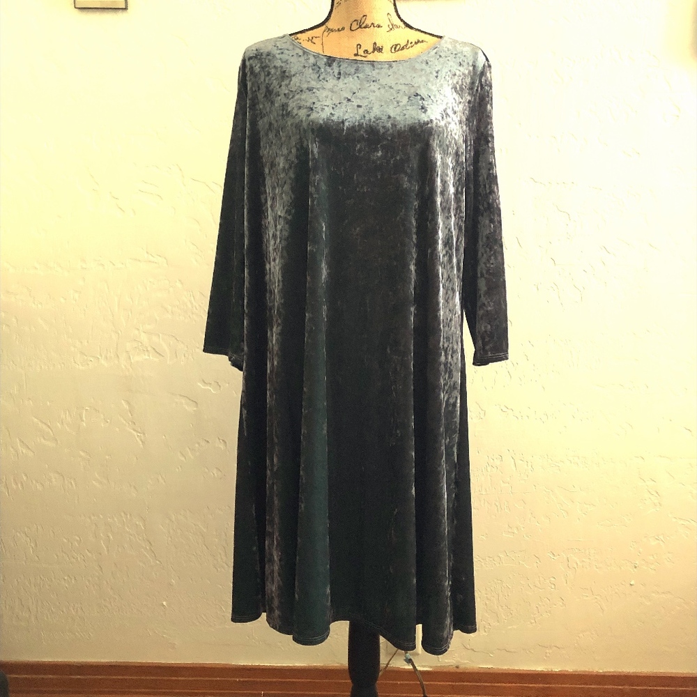 LBisse Velour long sleeve dress, size 2X NWT